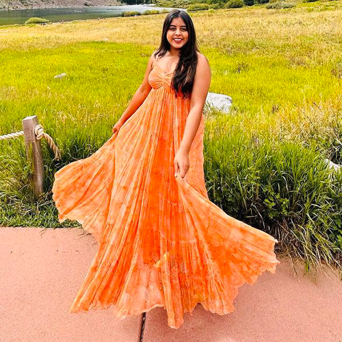 Aden Chiffon Long Dress