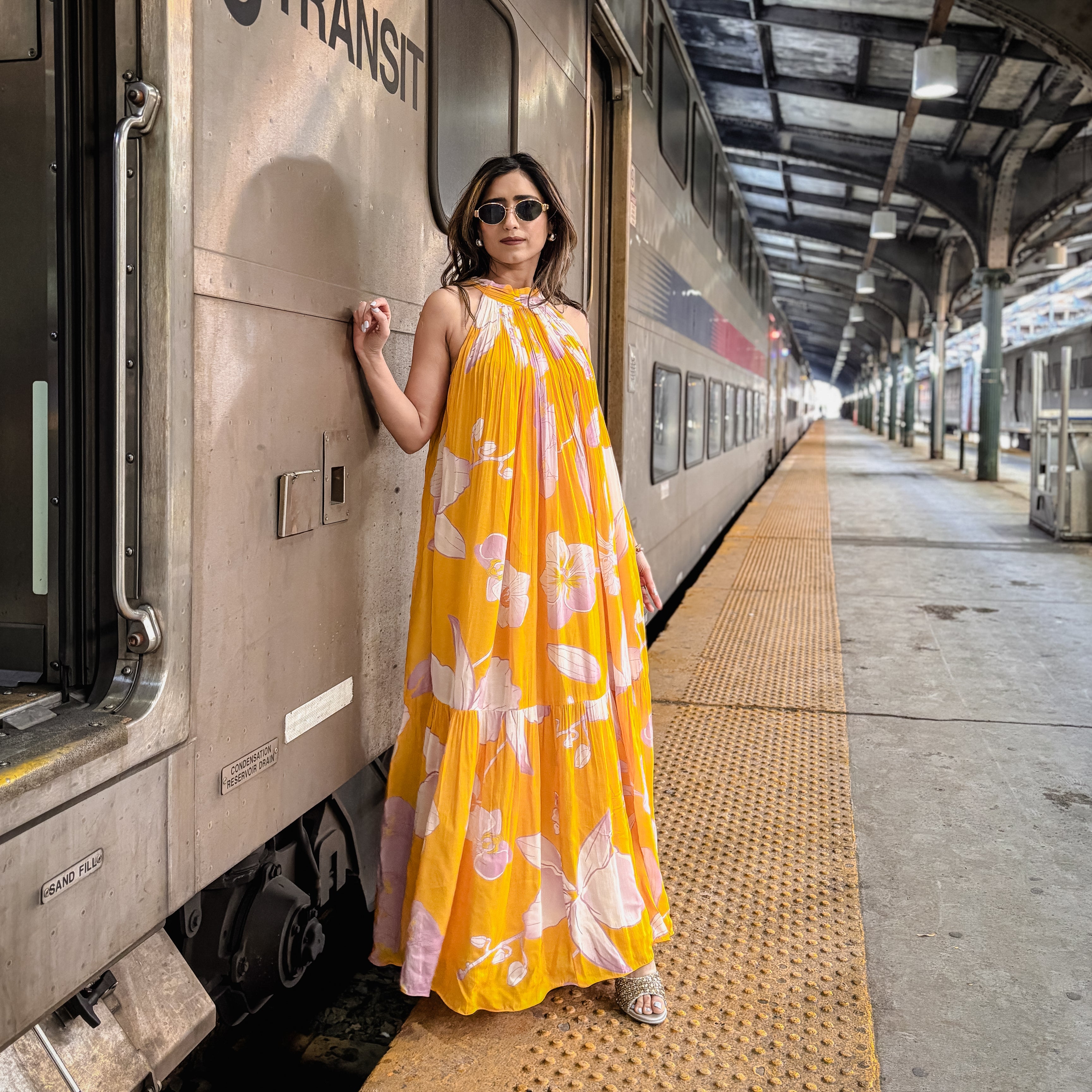 Hudson Sunset Long Dress