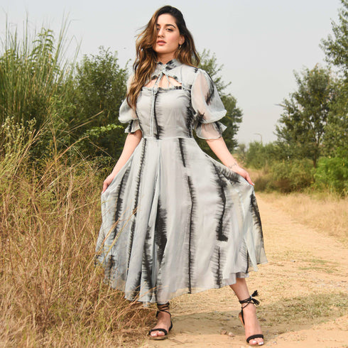 Castor Chiffon Handpainted Dress